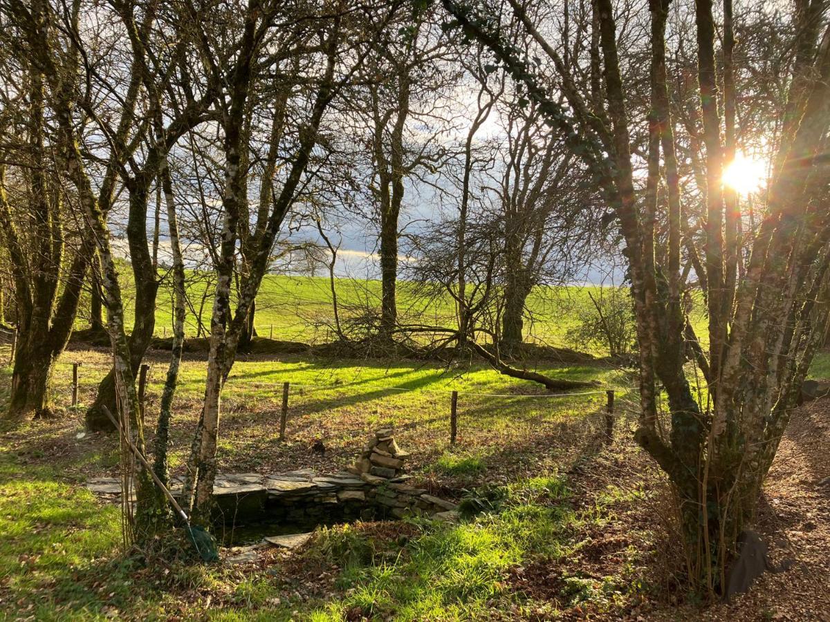 Cottage Breton - Gite De Charme En Centre Finistere Plonévez-du-Faou Kültér fotó